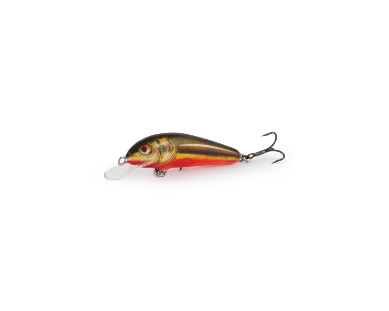 Salmo Minnow Floating 5cm Rainbow Dace