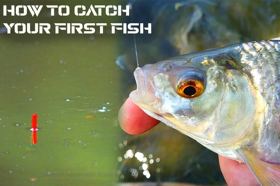 Fishing a Bait you should NEVER BE WITHOUT! Beginners and Pros. 